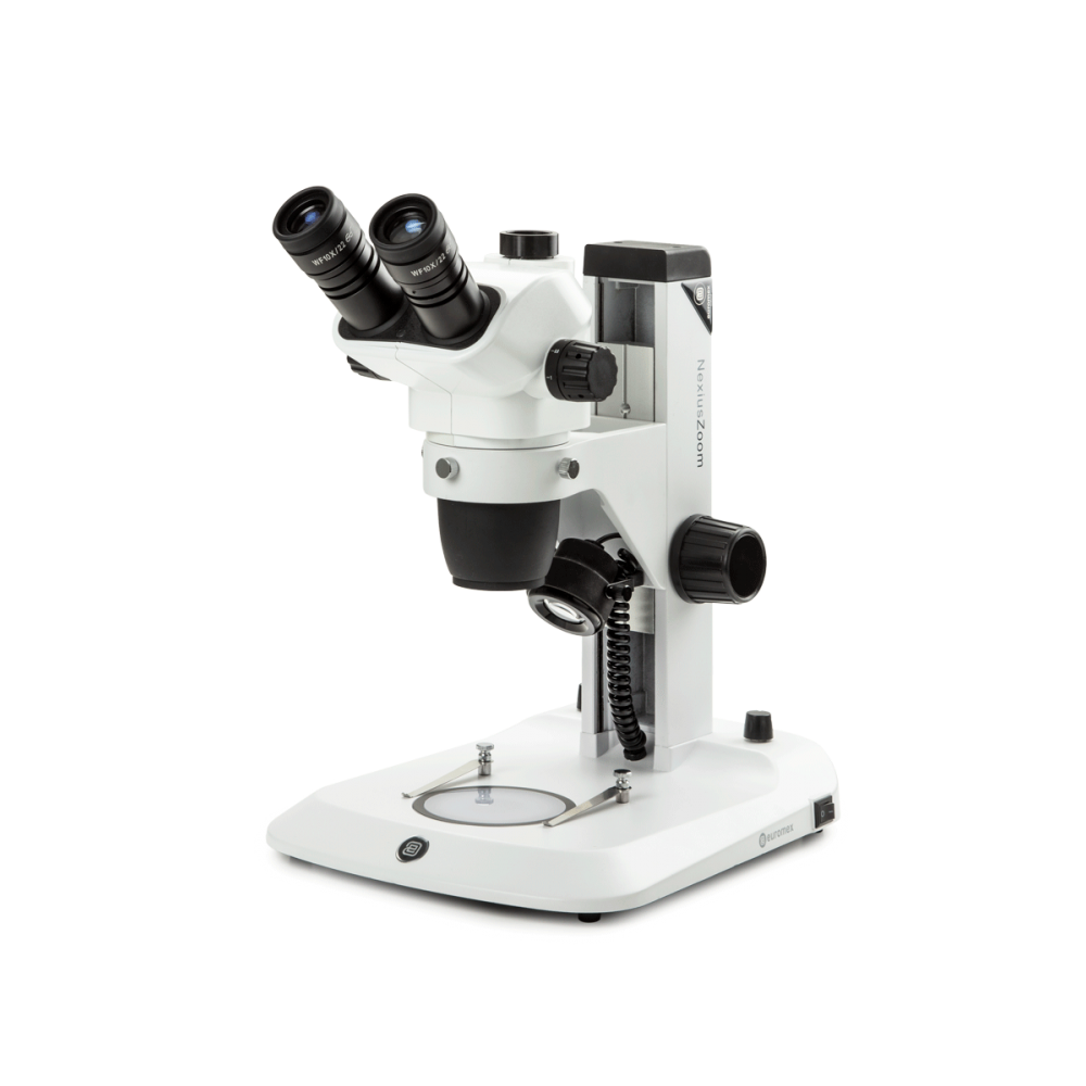 Loupe binoculaire EUROMEX NEXIUS ZOOM EVO - 6,5x à 55x V1