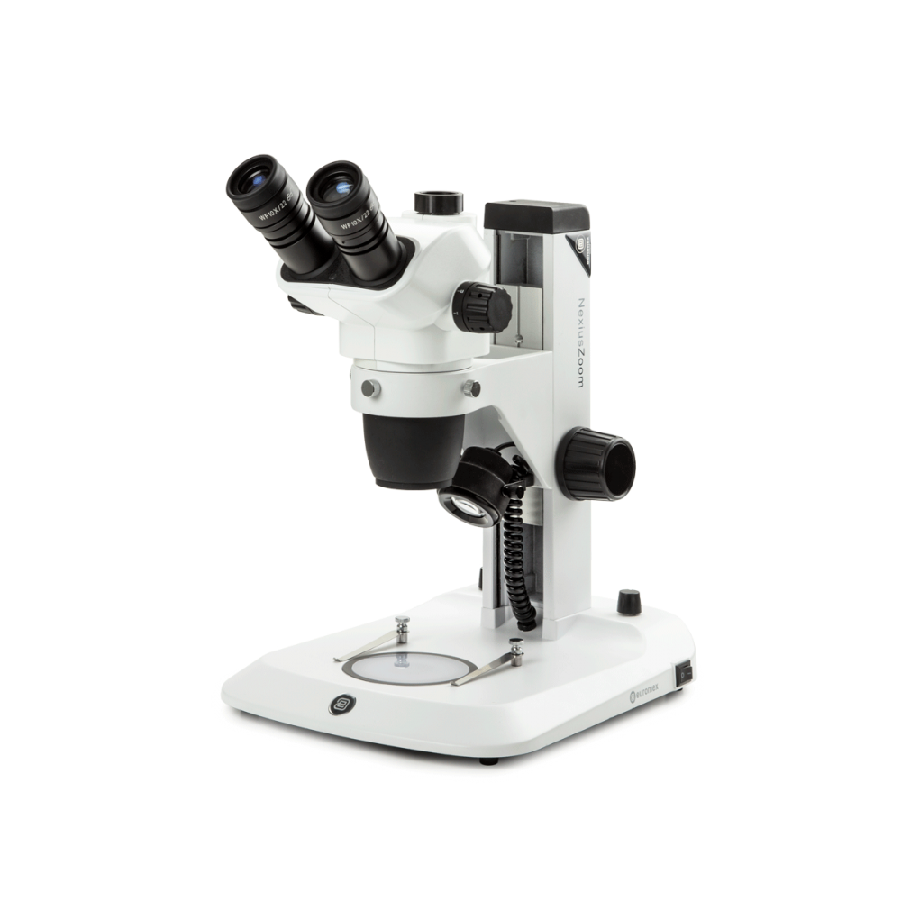 Loupe binoculaire ZEISS STEMI 305