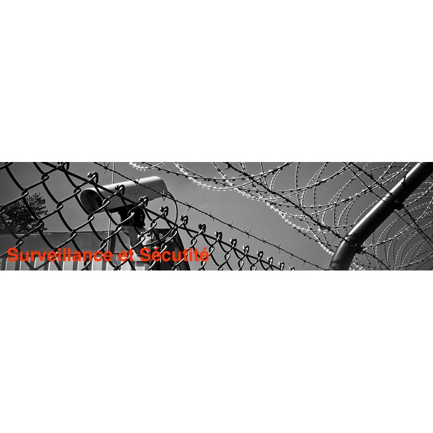 Security/Surveillance
